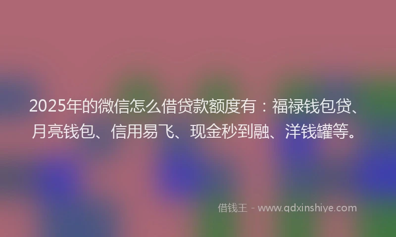 2025年的微信怎么借贷款额度有：福禄钱包贷、月亮钱包、信用易飞、现金秒到融、洋钱罐等。