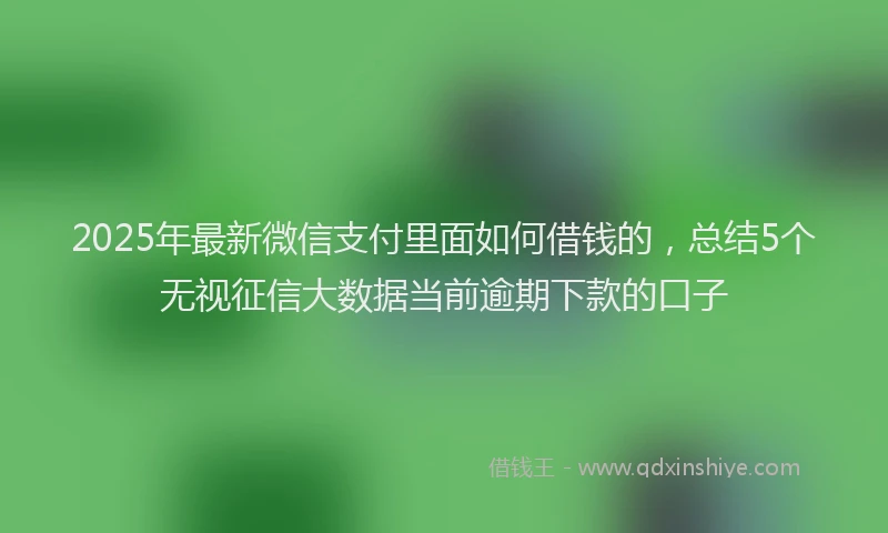2025年最新微信支付里面如何借钱的，总结5个无视征信大数据当前逾期下款的口子