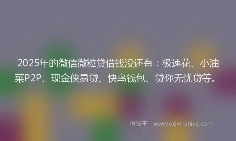 2025年的微信微粒贷借钱没还有：极速花、小油菜P2P、现金侠易贷、快鸟钱包、贷你无忧贷等。
