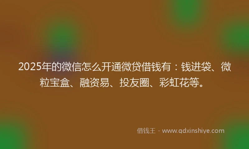 2025年的微信怎么开通微贷借钱有：钱进袋、微粒宝盒、融资易、投友圈、彩虹花等。