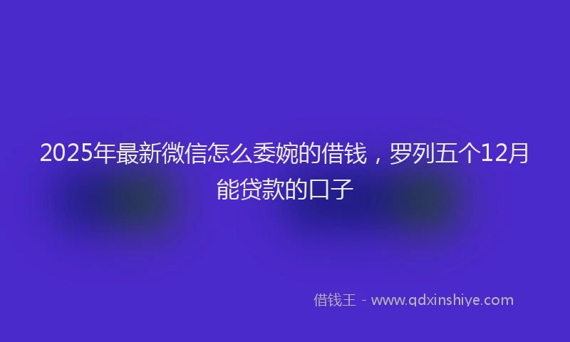 2025年最新微信怎么委婉的借钱，罗列五个12月能贷款的口子