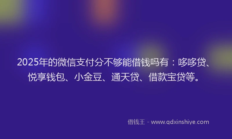 2025年的微信支付分不够能借钱吗有：哆哆贷、悦享钱包、小金豆、通天贷、借款宝贷等。
