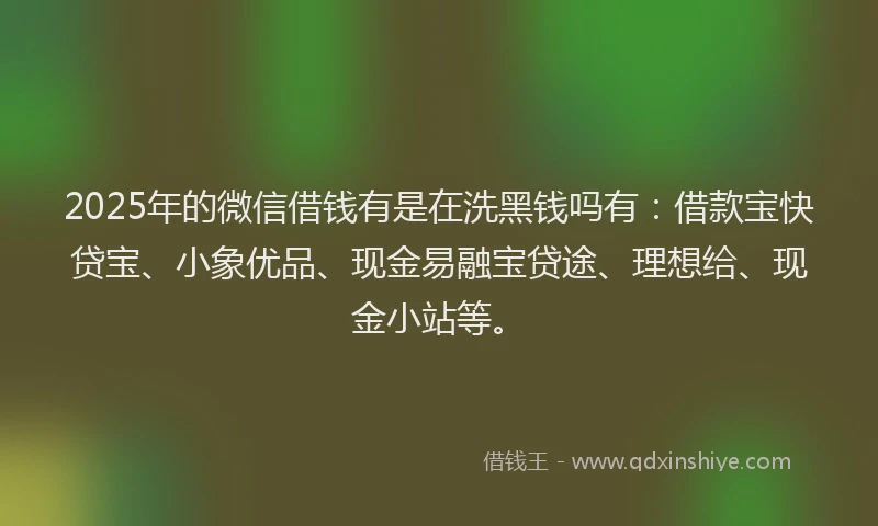 2025年的微信借钱有是在洗黑钱吗有：借款宝快贷宝、小象优品、现金易融宝贷途、理想给、现金小站等。