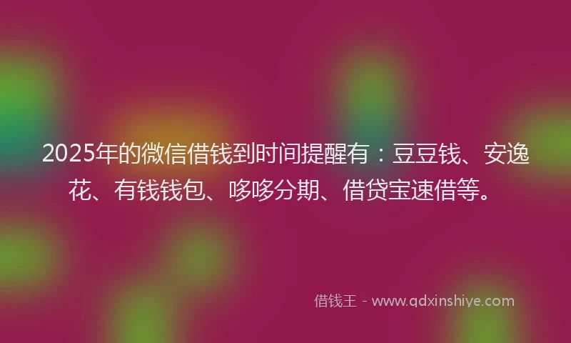 2025年的微信借钱到时间提醒有：豆豆钱、安逸花、有钱钱包、哆哆分期、借贷宝速借等。