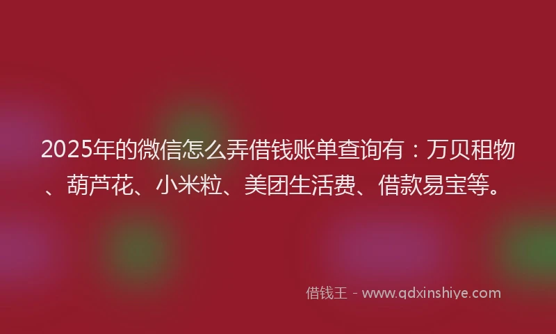 2025年的微信怎么弄借钱账单查询有：万贝租物、葫芦花、小米粒、美团生活费、借款易宝等。