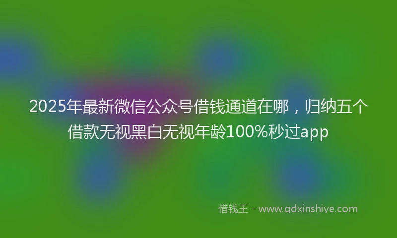 2025年最新微信公众号借钱通道在哪，归纳五个借款无视黑白无视年龄100%秒过app