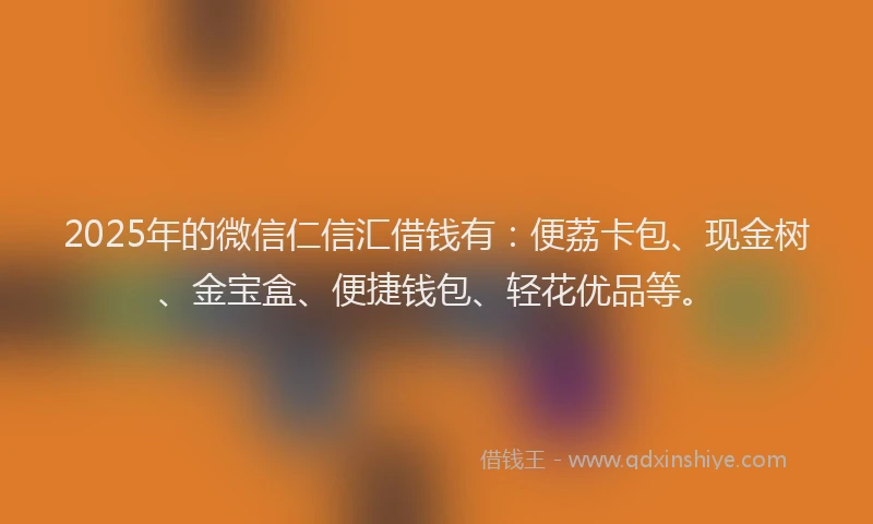 2025年的微信仁信汇借钱有：便荔卡包、现金树、金宝盒、便捷钱包、轻花优品等。