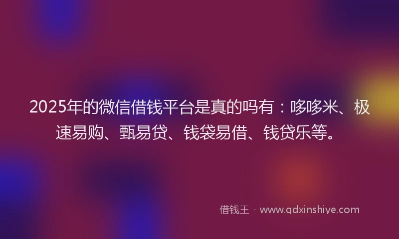 2025年的微信借钱平台是真的吗有：哆哆米、极速易购、甄易贷、钱袋易借、钱贷乐等。