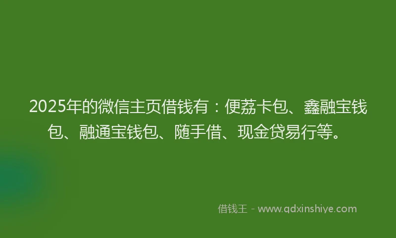 2025年的微信主页借钱有：便荔卡包、鑫融宝钱包、融通宝钱包、随手借、现金贷易行等。