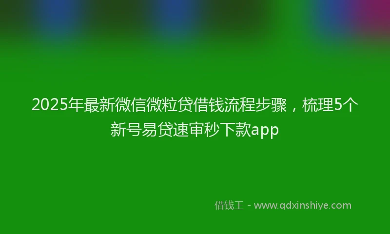 2025年最新微信微粒贷借钱流程步骤，梳理5个新号易贷速审秒下款app