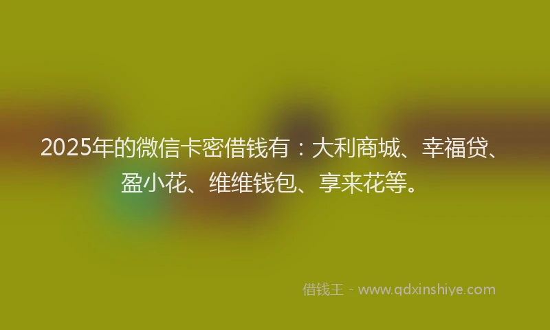 2025年的微信卡密借钱有：大利商城、幸福贷、盈小花、维维钱包、享来花等。