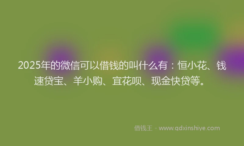 2025年的微信可以借钱的叫什么有：恒小花、钱速贷宝、羊小购、宜花呗、现金快贷等。