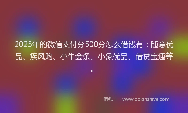 2025年的微信支付分500分怎么借钱有：随意优品、疾风购、小牛金条、小象优品、借贷宝通等。