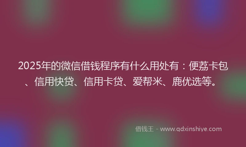 2025年的微信借钱程序有什么用处有：便荔卡包、信用快贷、信用卡贷、爱帮米、鹿优选等。