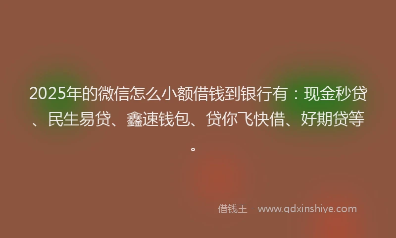 2025年的微信怎么小额借钱到银行有：现金秒贷、民生易贷、鑫速钱包、贷你飞快借、好期贷等。