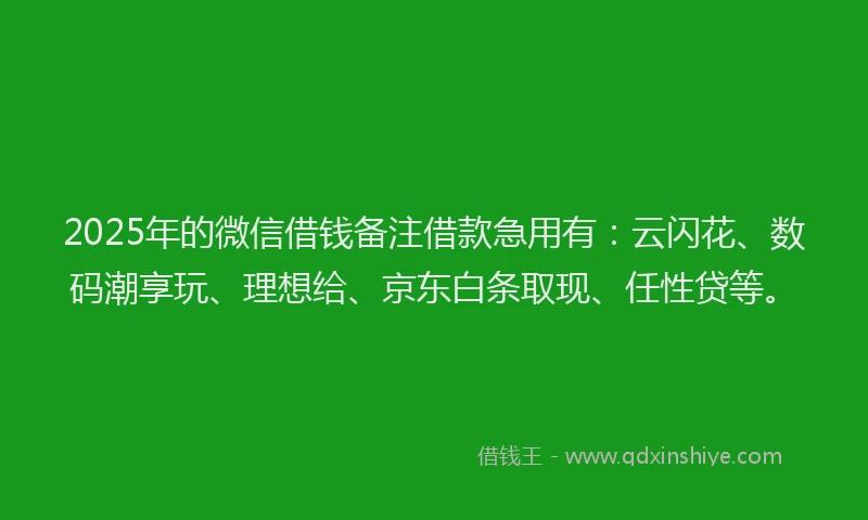 2025年的微信借钱备注借款急用有：云闪花、数码潮享玩、理想给、京东白条取现、任性贷等。