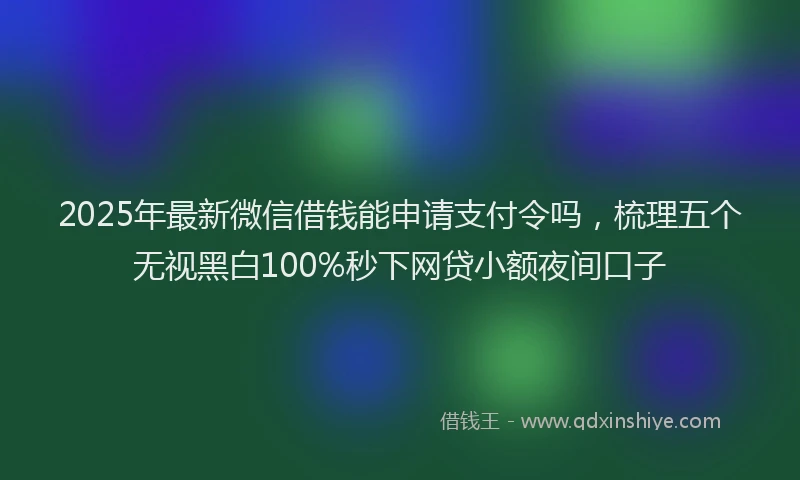 2025年最新微信借钱能申请支付令吗，梳理五个无视黑白100%秒下网贷小额夜间口子