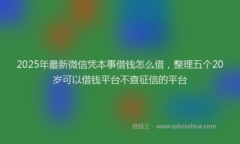 2025年最新微信凭本事借钱怎么借，整理五个20岁可以借钱平台不查征信的平台
