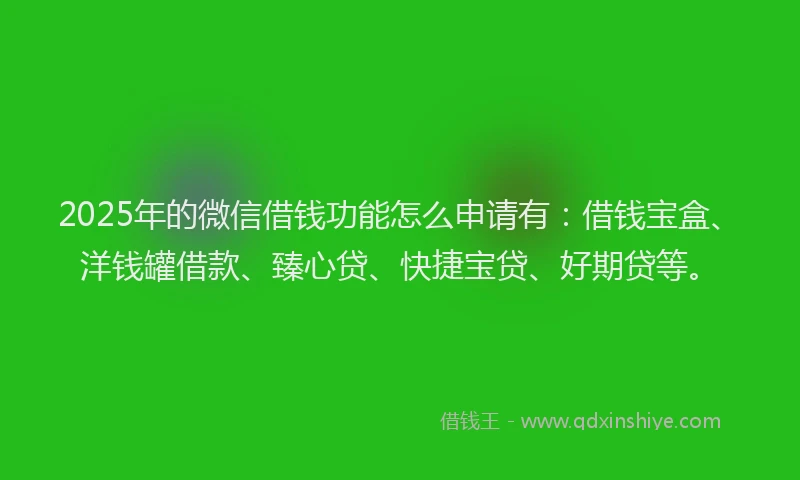 2025年的微信借钱功能怎么申请有：借钱宝盒、洋钱罐借款、臻心贷、快捷宝贷、好期贷等。