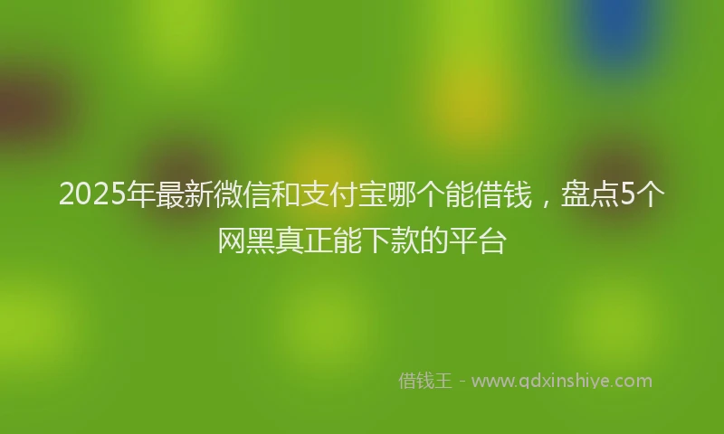 2025年最新微信和支付宝哪个能借钱，盘点5个网黑真正能下款的平台