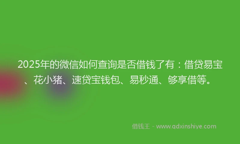 2025年的微信如何查询是否借钱了有：借贷易宝、花小猪、速贷宝钱包、易秒通、够享借等。