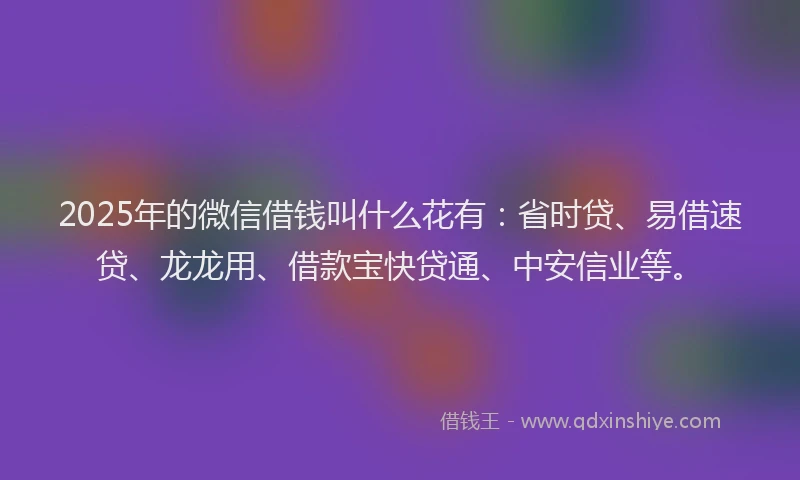 2025年的微信借钱叫什么花有：省时贷、易借速贷、龙龙用、借款宝快贷通、中安信业等。