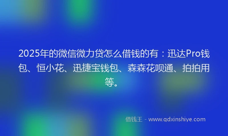 2025年的微信微力贷怎么借钱的有：迅达Pro钱包、恒小花、迅捷宝钱包、森森花呗通、拍拍用等。