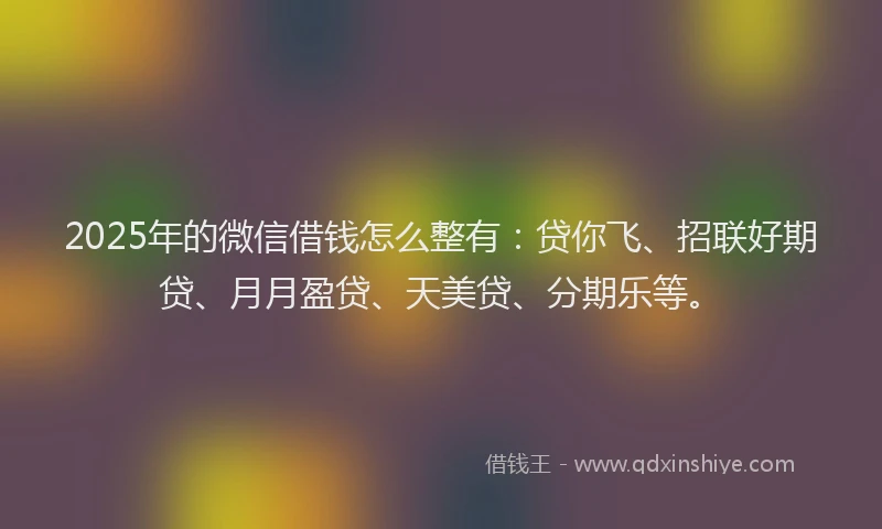 2025年的微信借钱怎么整有：贷你飞、招联好期贷、月月盈贷、天美贷、分期乐等。