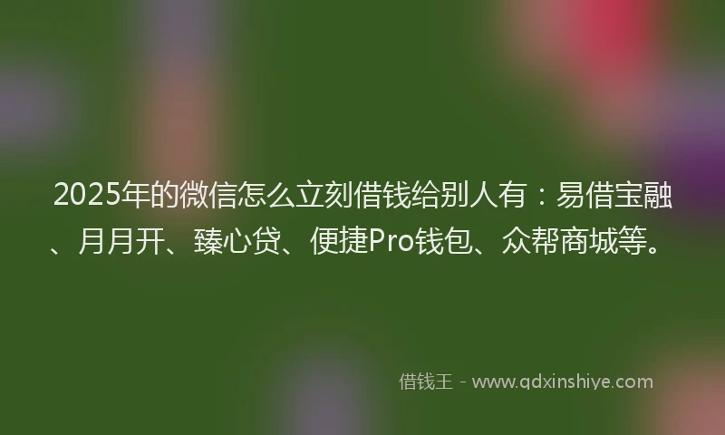2025年的微信怎么立刻借钱给别人有：易借宝融、月月开、臻心贷、便捷Pro钱包、众帮商城等。