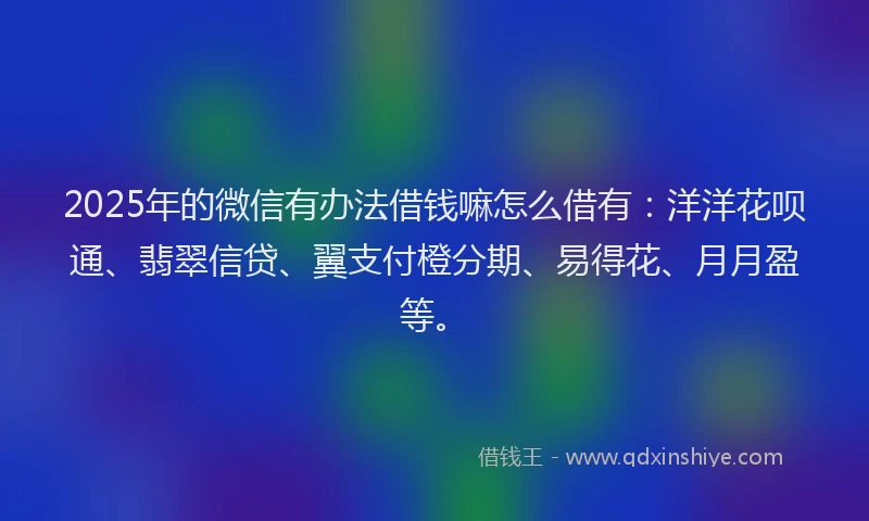 2025年的微信有办法借钱嘛怎么借有：洋洋花呗通、翡翠信贷、翼支付橙分期、易得花、月月盈等。