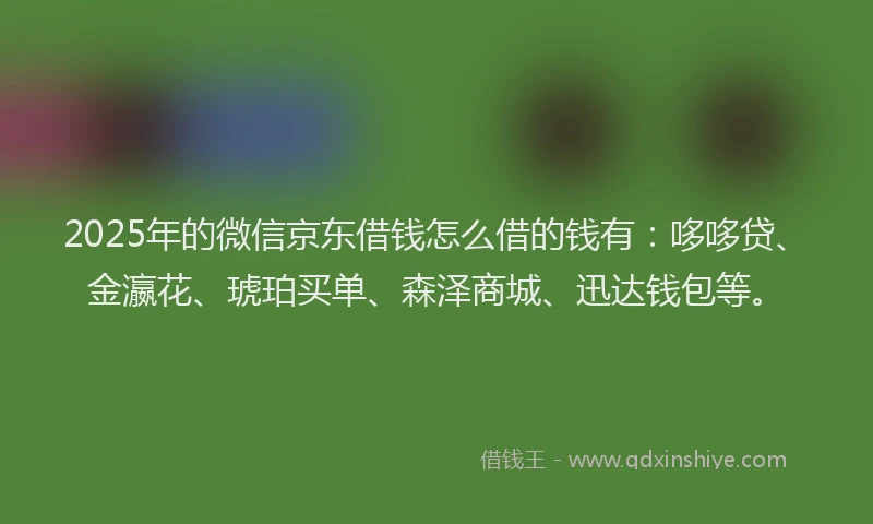 2025年的微信京东借钱怎么借的钱有:哆哆贷、金瀛花、琥珀买单、森泽商城、迅达钱包等。
