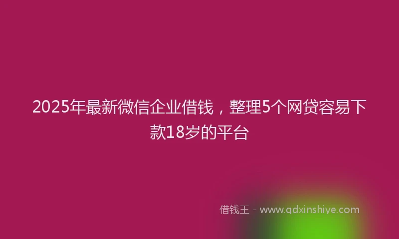 2025年最新微信企业借钱，整理5个网贷容易下款18岁的平台