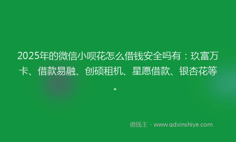 2025年的微信小呗花怎么借钱安全吗有：玖富万卡、借款易融、创硕租机、星愿借款、银杏花等。