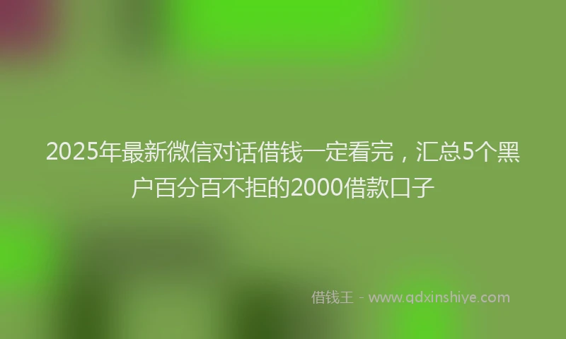 2025年最新微信对话借钱一定看完，汇总5个黑户百分百不拒的2000借款口子