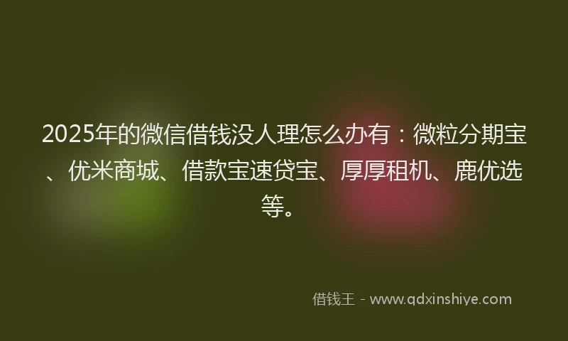 2025年的微信借钱没人理怎么办有：微粒分期宝、优米商城、借款宝速贷宝、厚厚租机、鹿优选等。