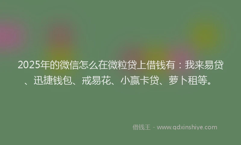2025年的微信怎么在微粒贷上借钱有：我来易贷、迅捷钱包、戒易花、小赢卡贷、萝卜租等。