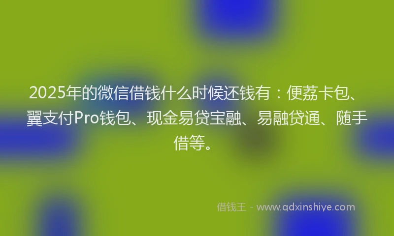 2025年的微信借钱什么时候还钱有：便荔卡包、翼支付Pro钱包、现金易贷宝融、易融贷通、随手借等。