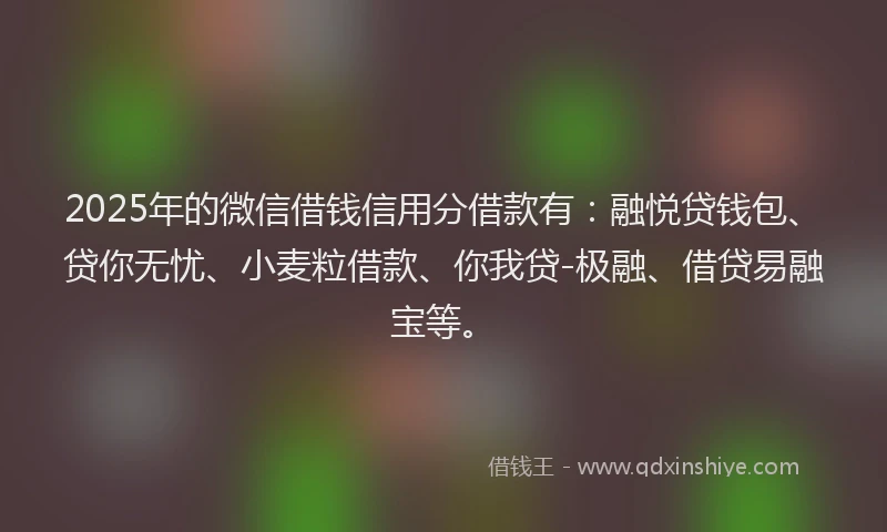 2025年的微信借钱信用分借款有：融悦贷钱包、贷你无忧、小麦粒借款、你我贷-极融、借贷易融宝等。