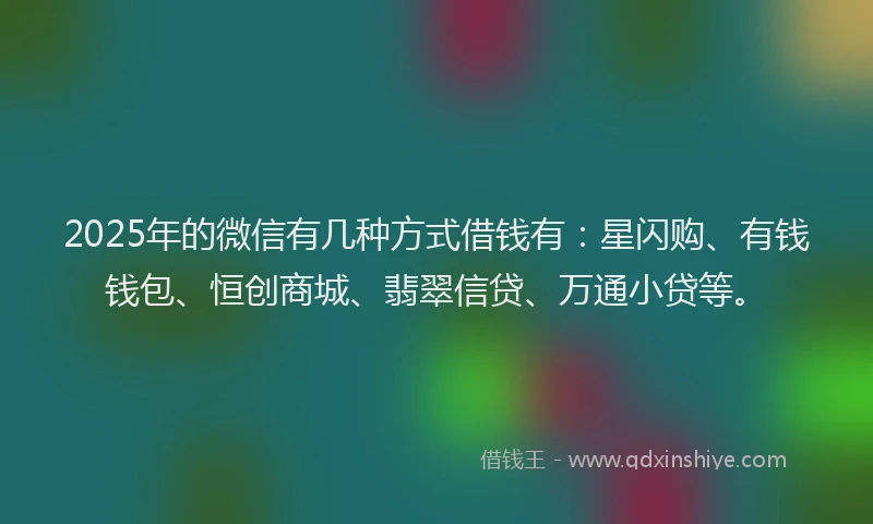 2025年的微信有几种方式借钱有：星闪购、有钱钱包、恒创商城、翡翠信贷、万通小贷等。