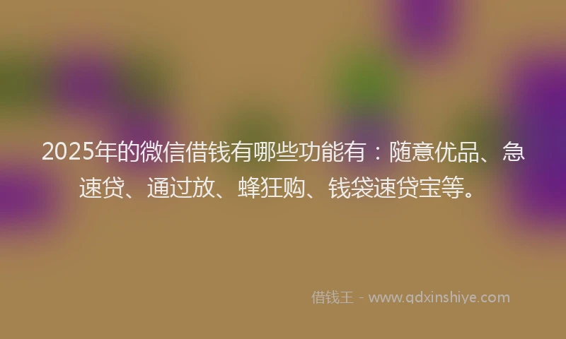 2025年的微信借钱有哪些功能有：随意优品、急速贷、通过放、蜂狂购、钱袋速贷宝等。
