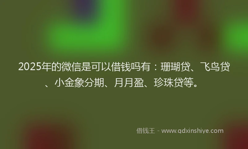 2025年的微信是可以借钱吗有：珊瑚贷、飞鸟贷、小金象分期、月月盈、珍珠贷等。