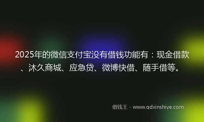 2025年的微信支付宝没有借钱功能有：现金借款、沐久商城、应急贷、微博快借、随手借等。