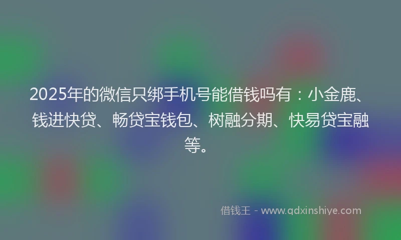 2025年的微信只绑手机号能借钱吗有：小金鹿、钱进快贷、畅贷宝钱包、树融分期、快易贷宝融等。