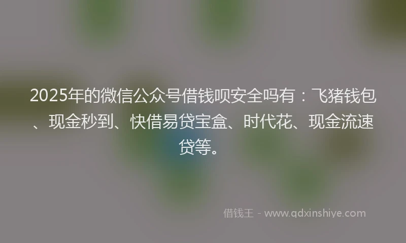 2025年的微信公众号借钱呗安全吗有：飞猪钱包、现金秒到、快借易贷宝盒、时代花、现金流速贷等。