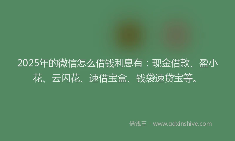 2025年的微信怎么借钱利息有：现金借款、盈小花、云闪花、速借宝盒、钱袋速贷宝等。
