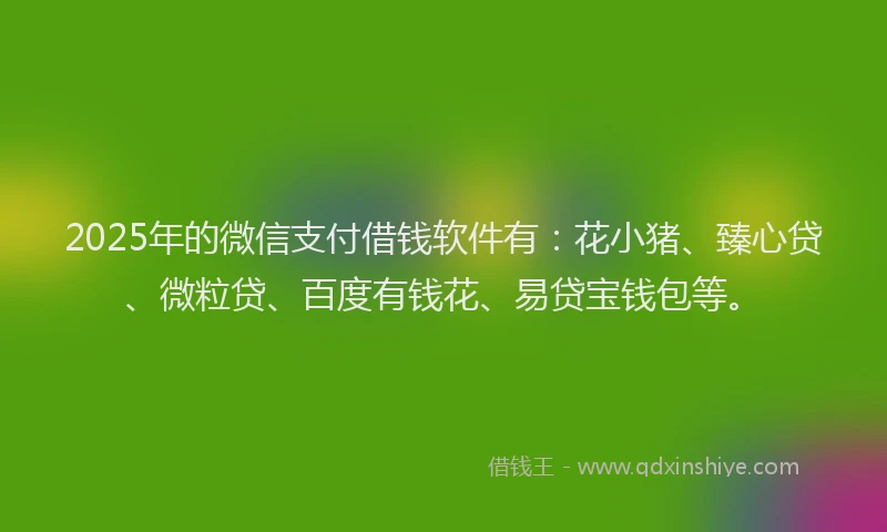 2025年的微信支付借钱软件有：花小猪、臻心贷、微粒贷、百度有钱花、易贷宝钱包等。