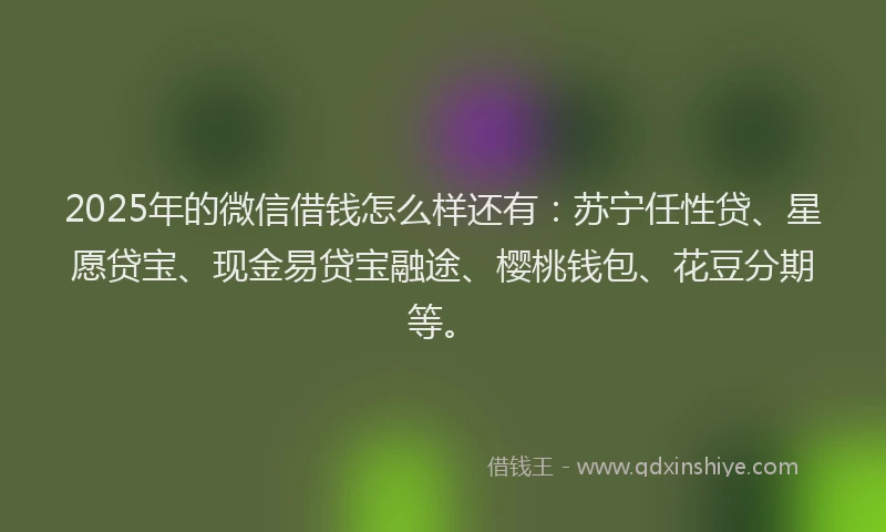 2025年的微信借钱怎么样还有：苏宁任性贷、星愿贷宝、现金易贷宝融途、樱桃钱包、花豆分期等。