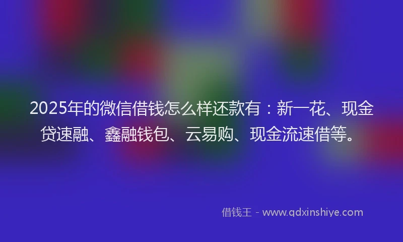2025年的微信借钱怎么样还款有：新一花、现金贷速融、鑫融钱包、云易购、现金流速借等。