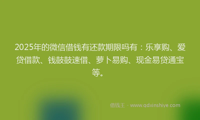 2025年的微信借钱有还款期限吗有：乐享购、爱贷借款、钱鼓鼓速借、萝卜易购、现金易贷通宝等。