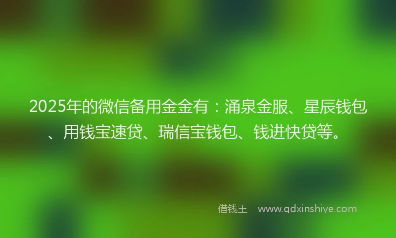 2025年的微信备用金金有：涌泉金服、星辰钱包、用钱宝速贷、瑞信宝钱包、钱进快贷等。